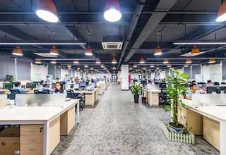 嘉定区休闲撸猫套餐