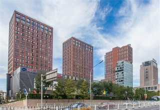 温州好质量蜂窝脚块多少钱